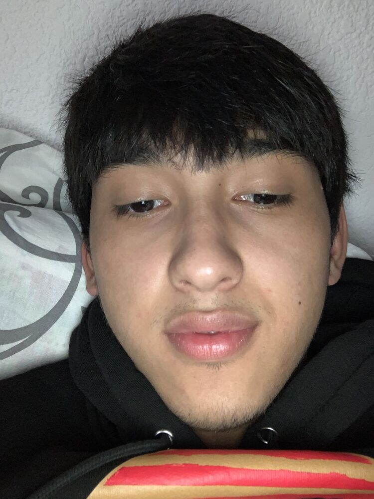 ���� 42774804 ����� Rodi, 22 ����, ���� ���������� � ������