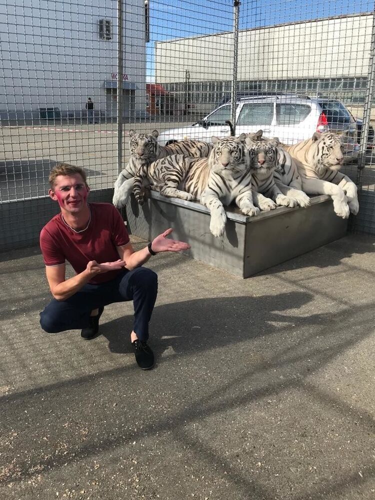 ���������� ��������, ���� ������� ���������, 40 ���, ������������ ��� ������, ����� � ���������, c�������� ���������