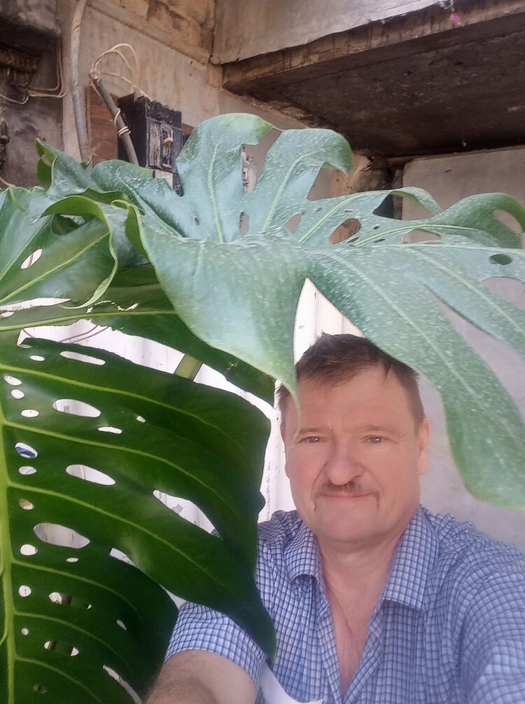 ���������� �������, ���� ������� ��������, 63 ����, ������������ 