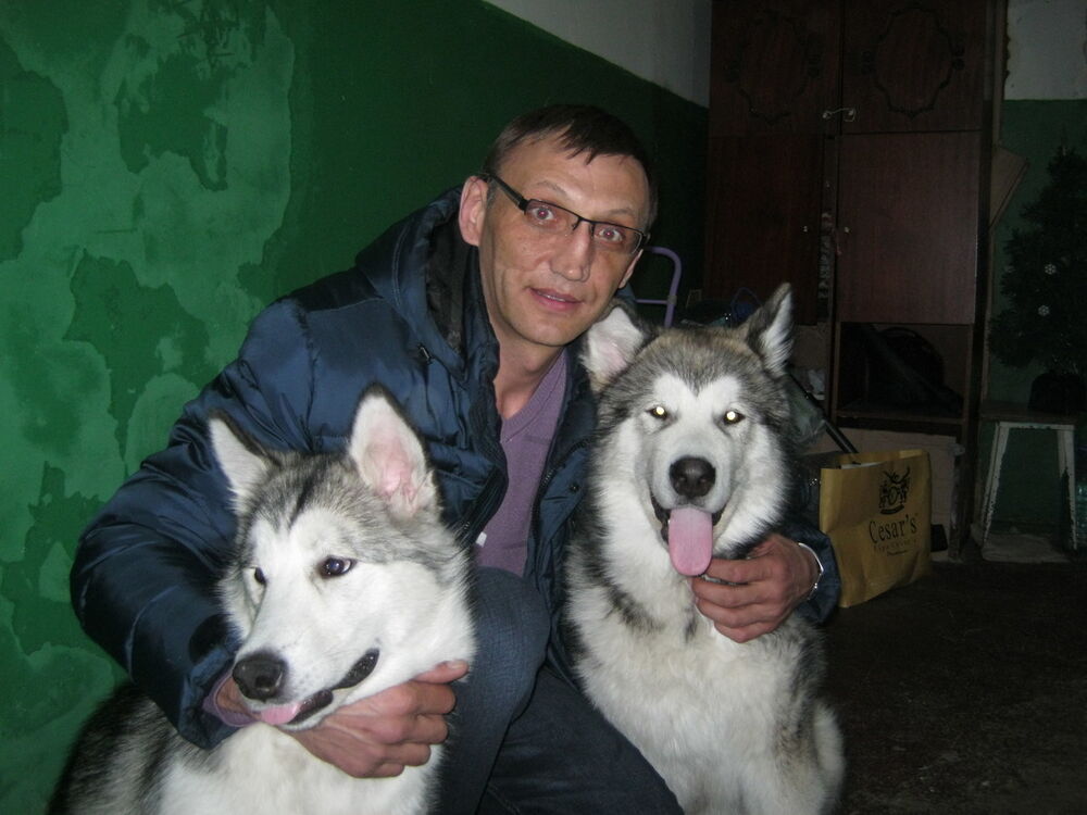 ���������� ���������, ���� ������� Igor, 55 ���, ������������ ��� ������, ����� � ���������, c�������� ���������