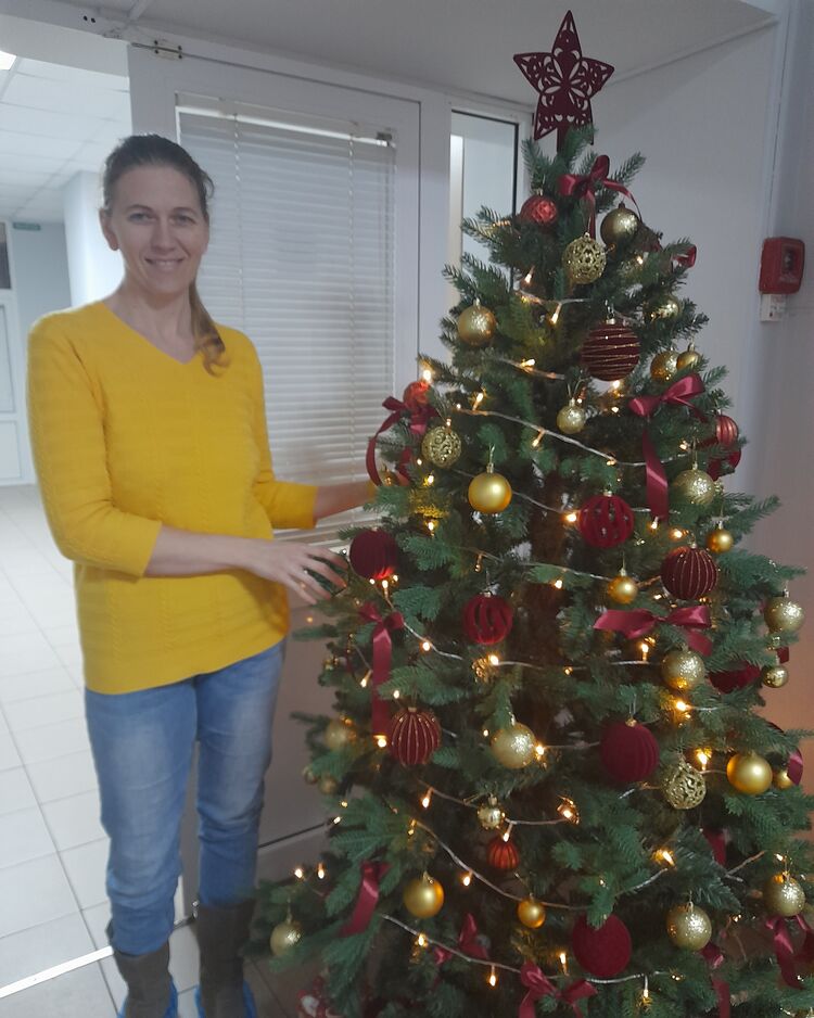 ���������� ����������, ���� ������� ��������, 33 ����, ������������ ��� ����� � ���������, c�������� ���������, ���������