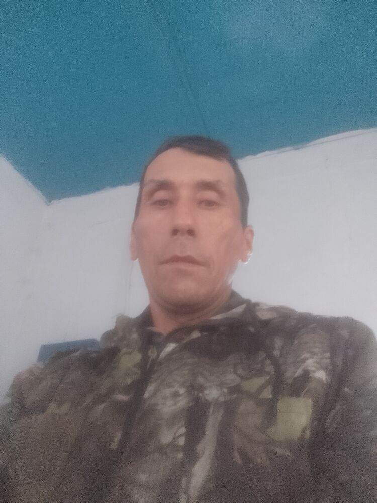  45300934  , 46 ,    