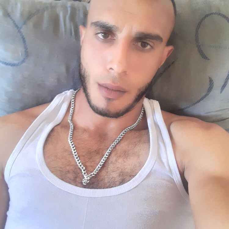  24367054  , 31 ,    