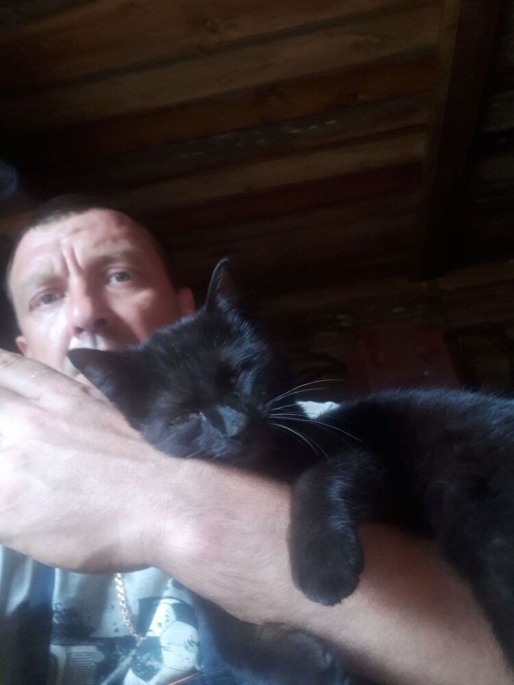  23726744  , 42 ,    -