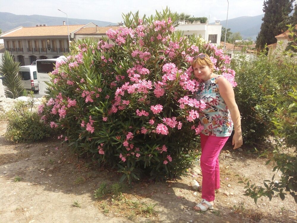  -,   , 48 ,   ,   , c 