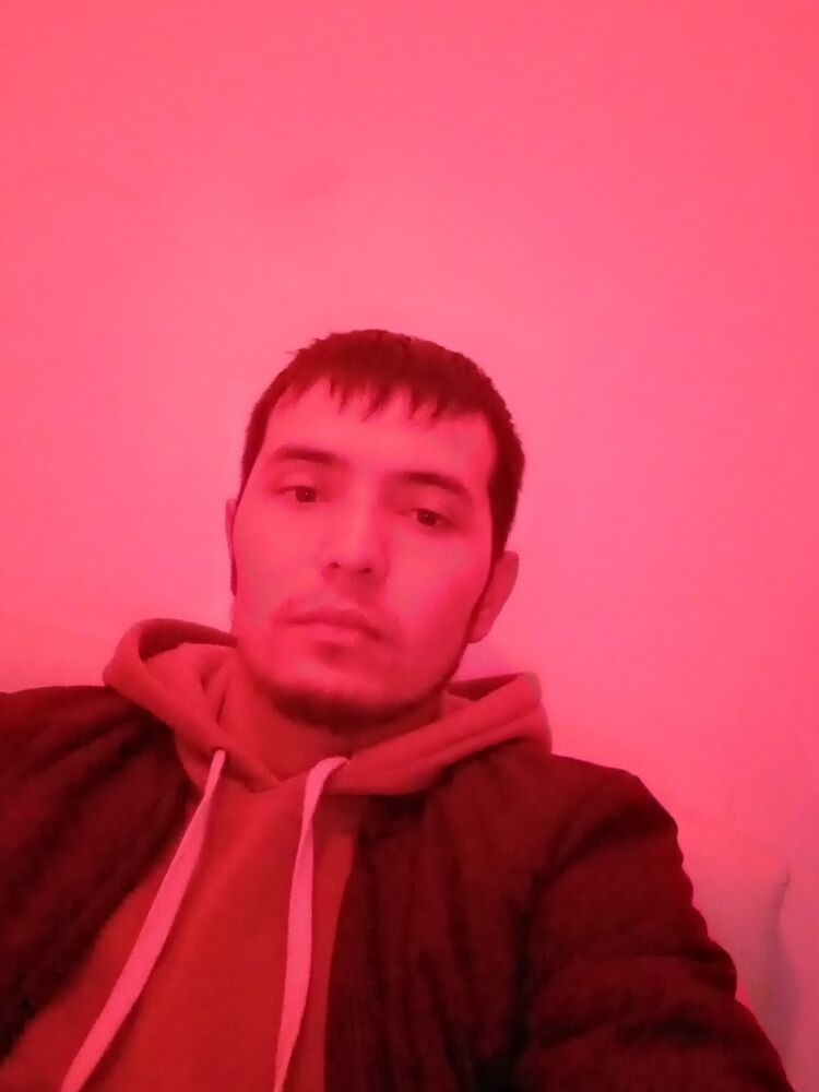  31337494  , 31 ,    
