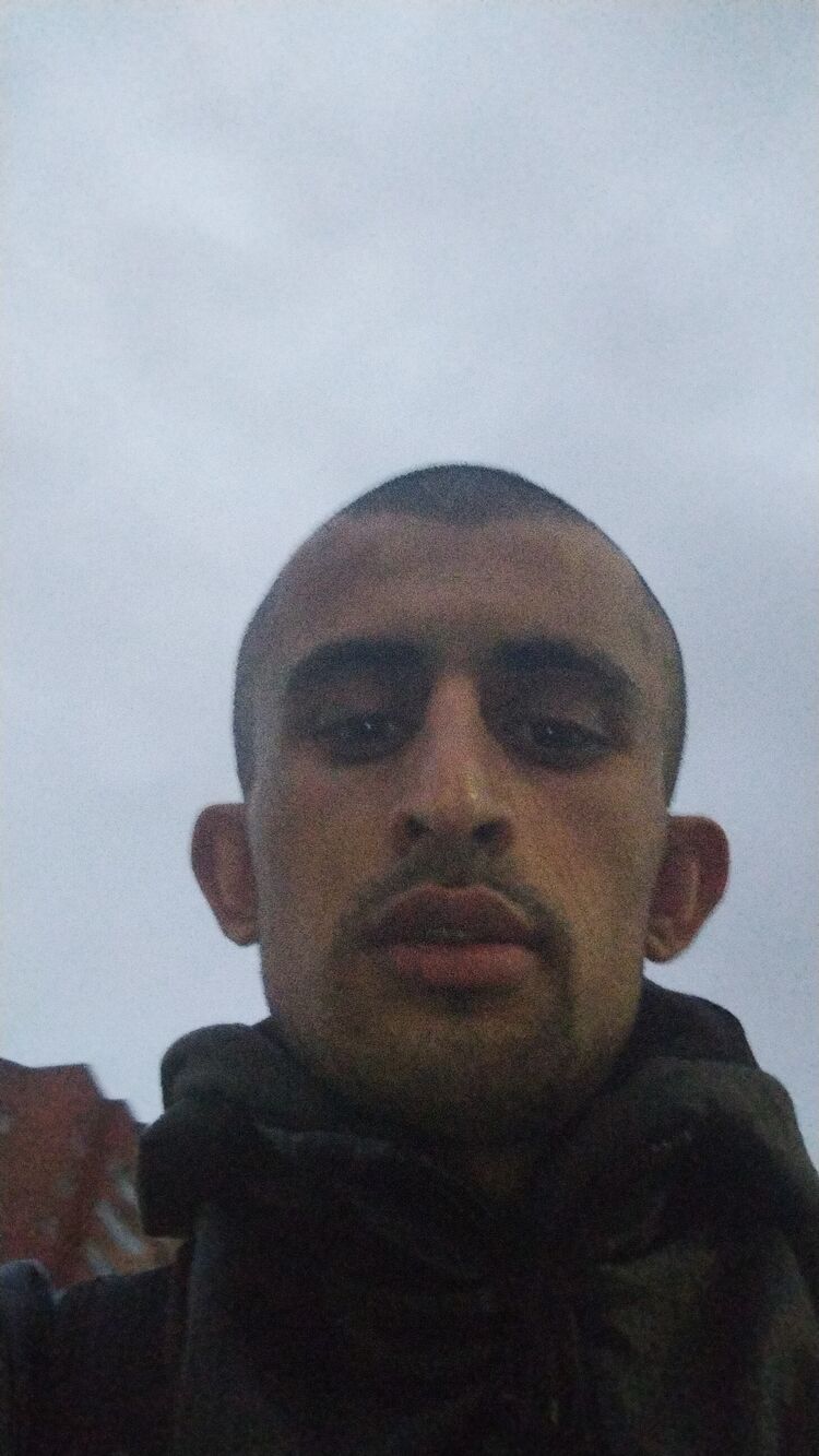 ���� 37959384 ������� �����, 33 ����, ���� ���������� � ������