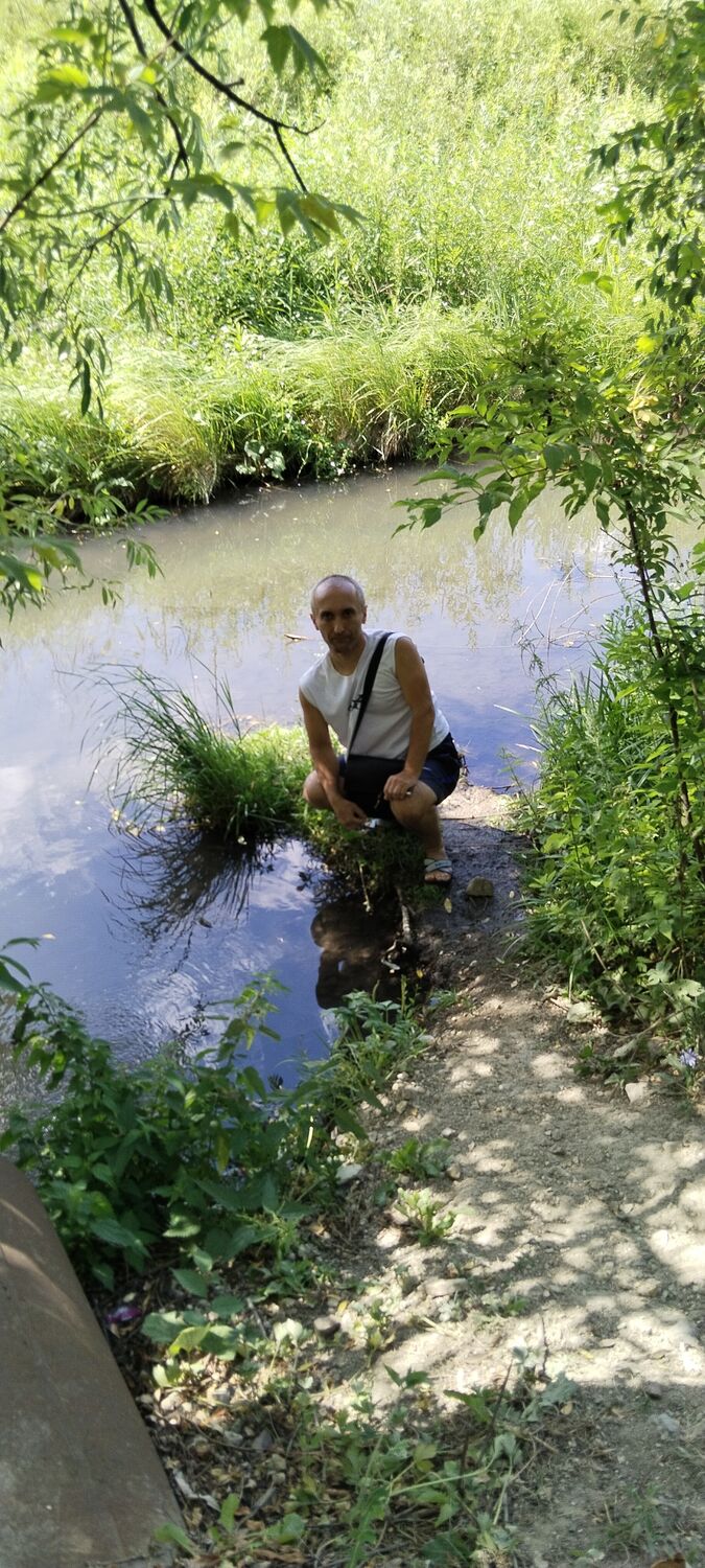 ���������� �������, ���� ������� ���������, 43 ����, ������������ ��� ����� � ���������, c�������� ���������