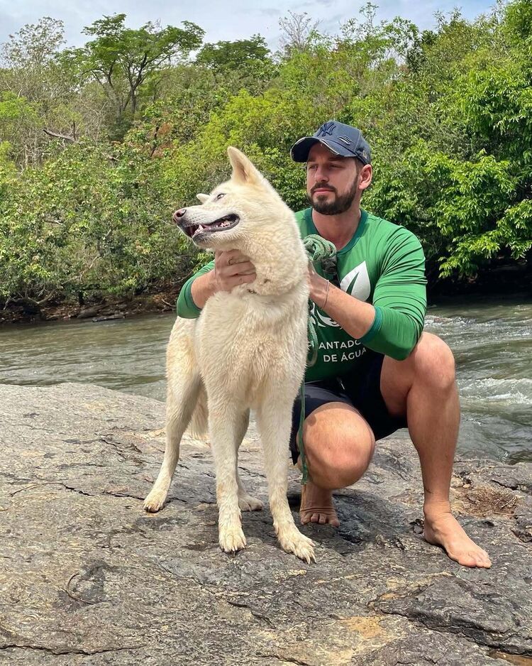 ���� 50208434 ������� �������, 35 ���, ���� ���������� � ��������