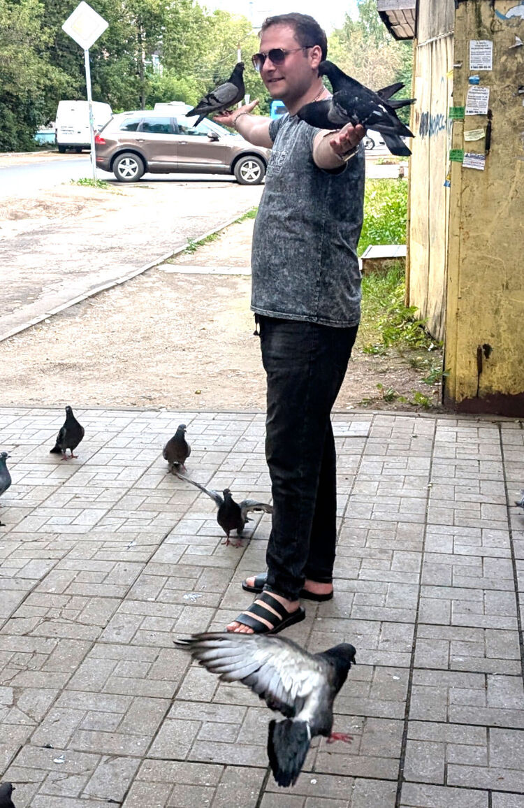 ���� 50212184 ������� ������, 33 ����, ���� ���������� � �����