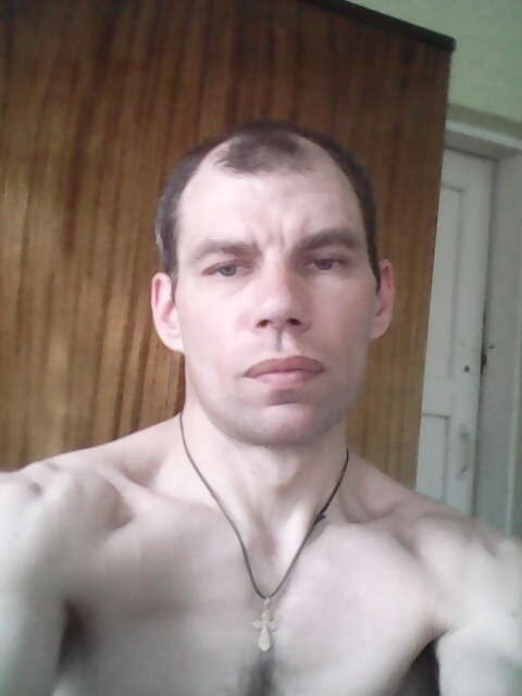  9543594  , 50 ,    