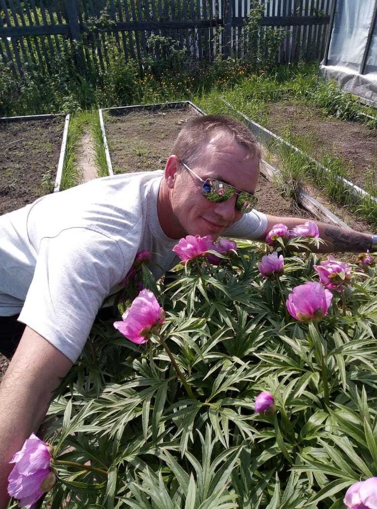 ���� 16894364 ������� �������, 44 ����, ���� ���������� � ����������