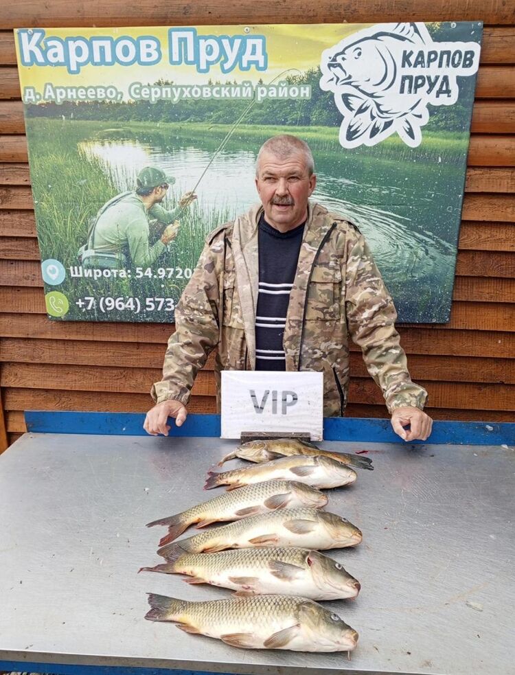 ���� 55368694 ������� ������, 59 ���, ���� ���������� � ���������