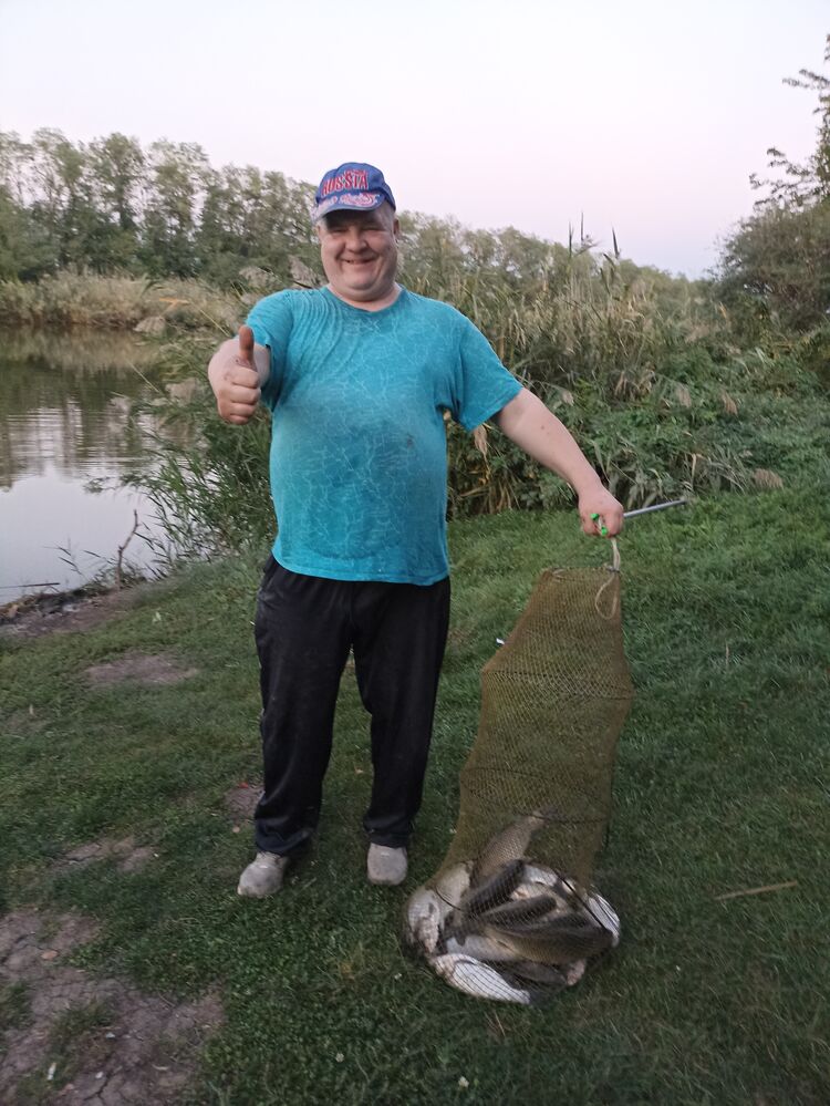 ���� 48540224 ������� ��������, 50 ���, ���� ���������� � �����