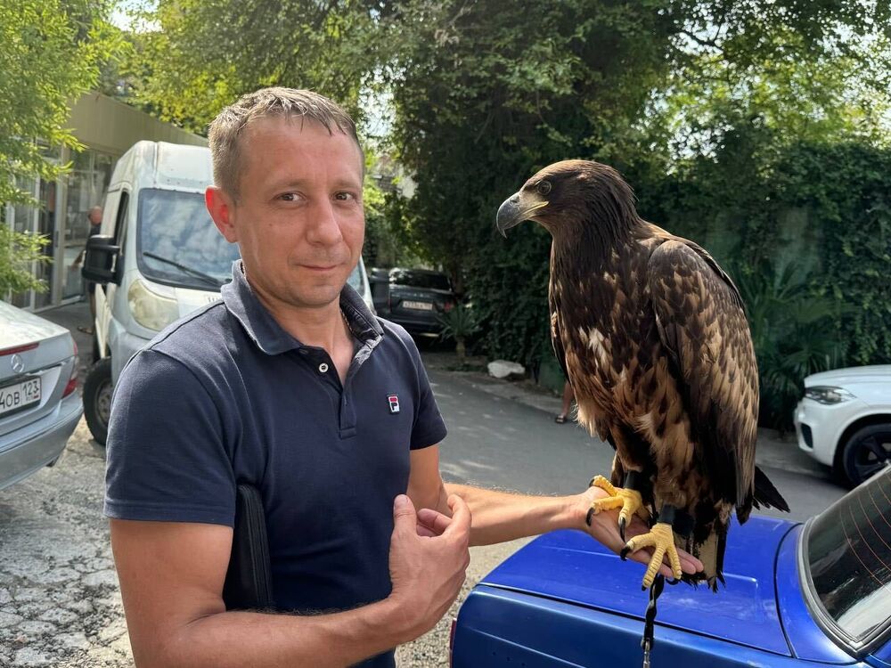 ���� 54528674 ������� ������, 41 ���, ���� ���������� � ����-��������