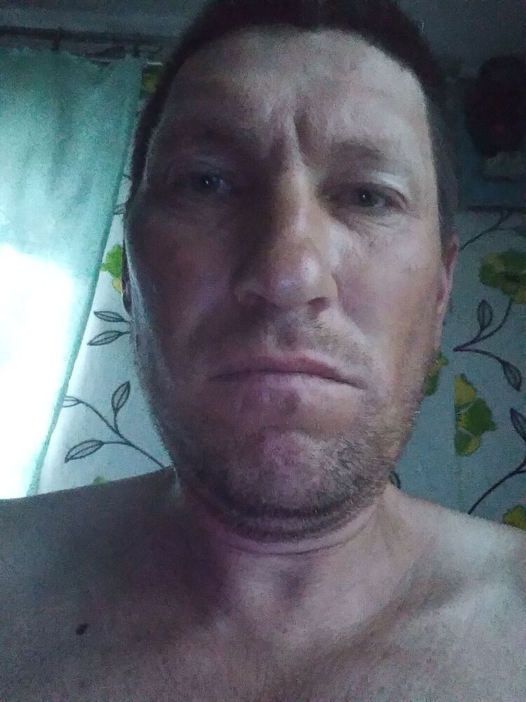  23452944  , 46 ,    