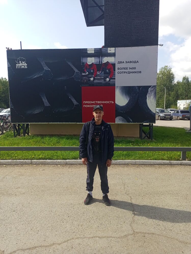  53065584  , 41 ,    