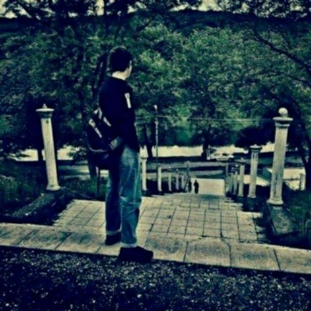 ���� 27915534 ����� Shrk, 25 ���, ���� ���������� � �������