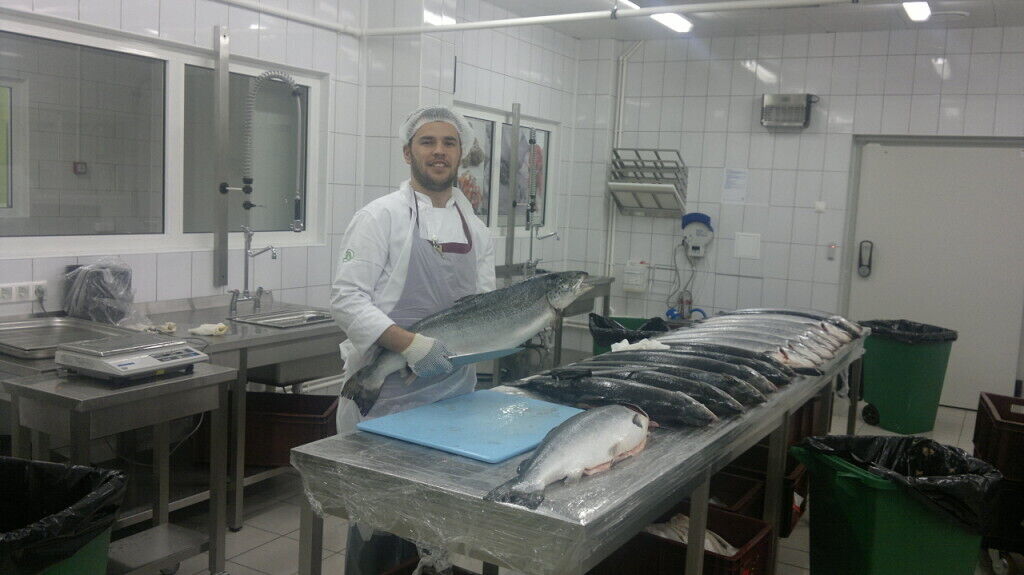 ���������� �������, ���� ������� �����, 41 ���, ������������ ��� ������, ����� � ���������, c�������� ���������