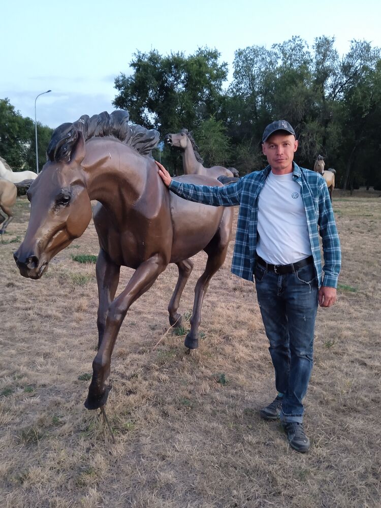 ���� 56008544 ������� �������, 41 ���, ���� ���������� � ������