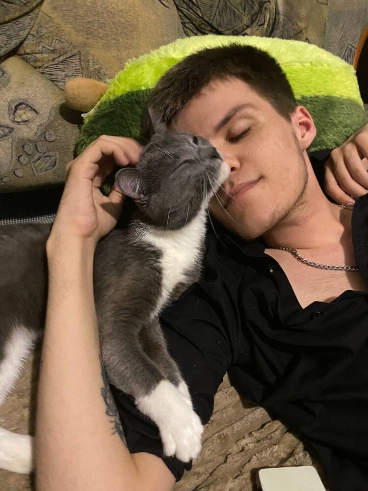 ���������� ������������, ���� ����� ������, 24 ����, ������������ ��� ������, ����� � ���������, c�������� ���������, ���������