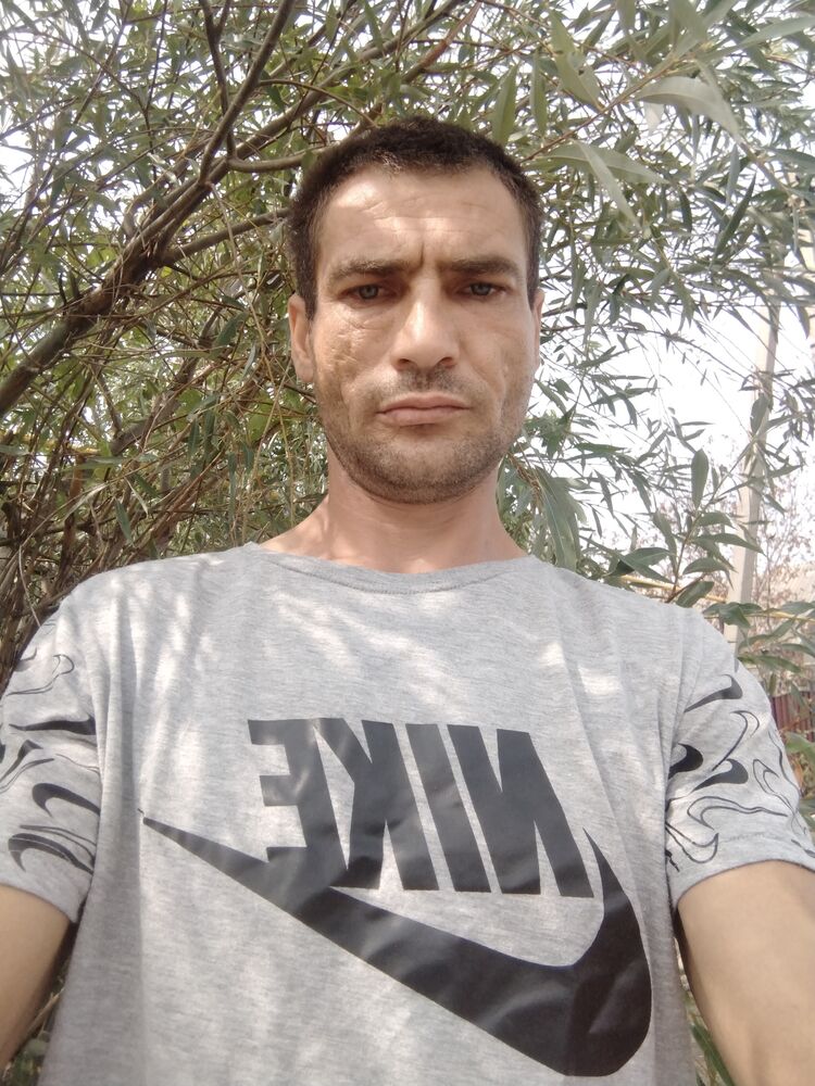  48911344  , 34 ,    