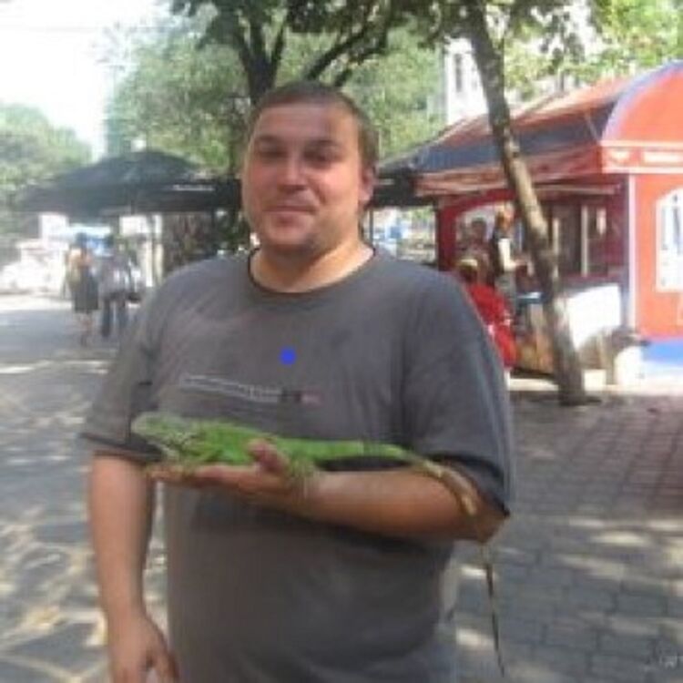 ���� 56101024 ������� ���������, 46 ���, ���� ���������� � ������