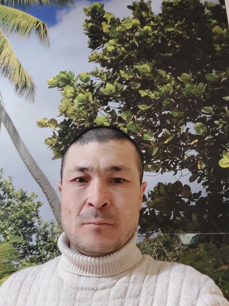 ���������� ������, ���� ������� ��������, 41 ���, ������������ ��� ������, ����� � ���������, c�������� ���������, ���������