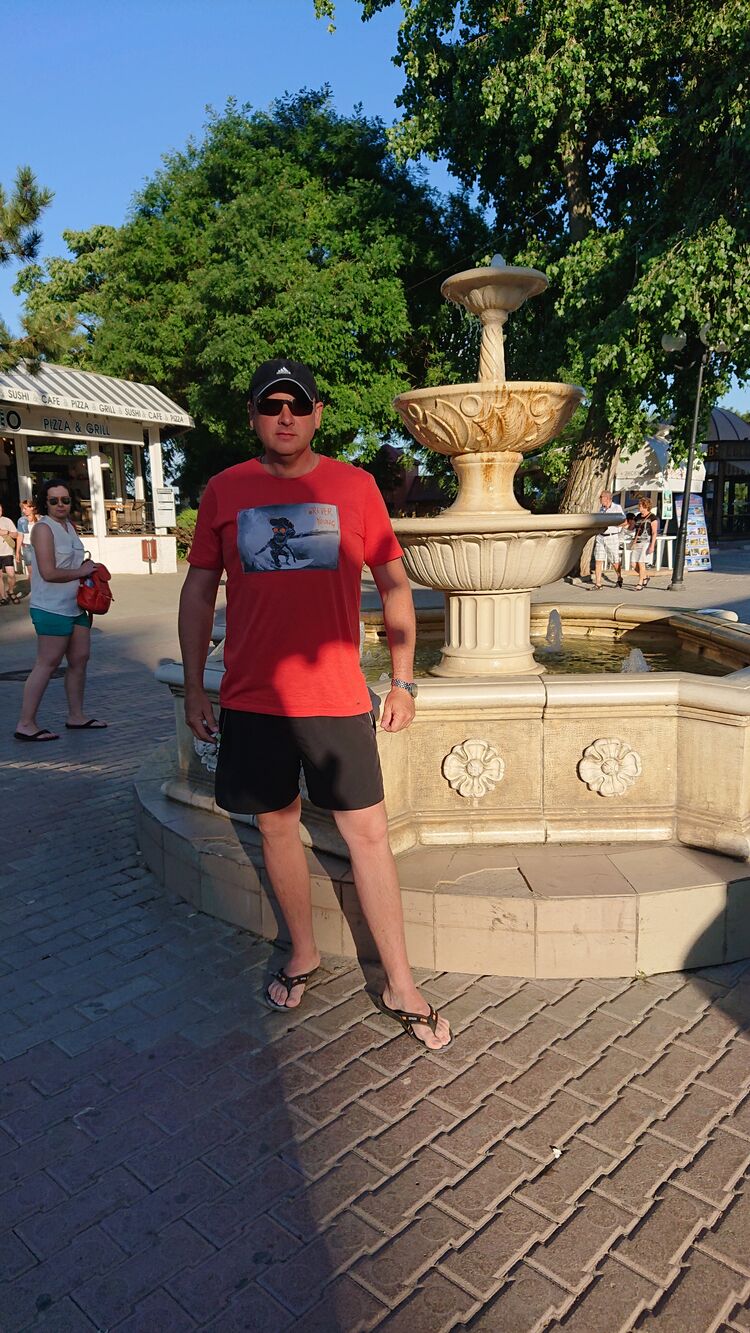  31515584  , 51 ,    -