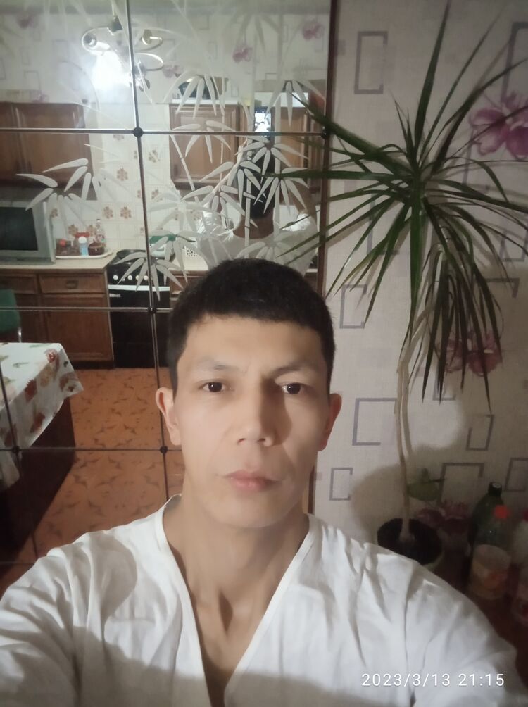  -,   , 38 ,   