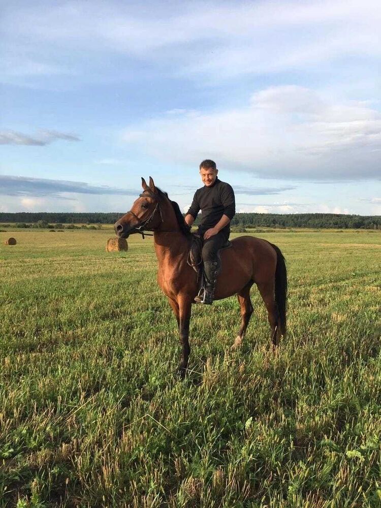 ���� 54323254 ������� �����, 38 ���, ���� ���������� � ��������