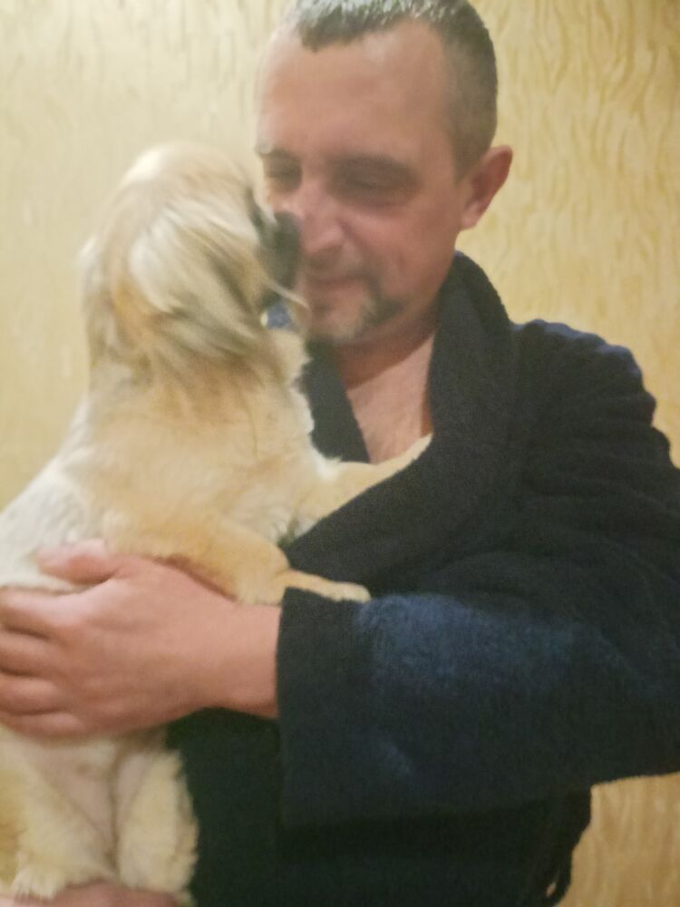 ���� 55187884 ������� �����, 45 ���, ���� ���������� � ������