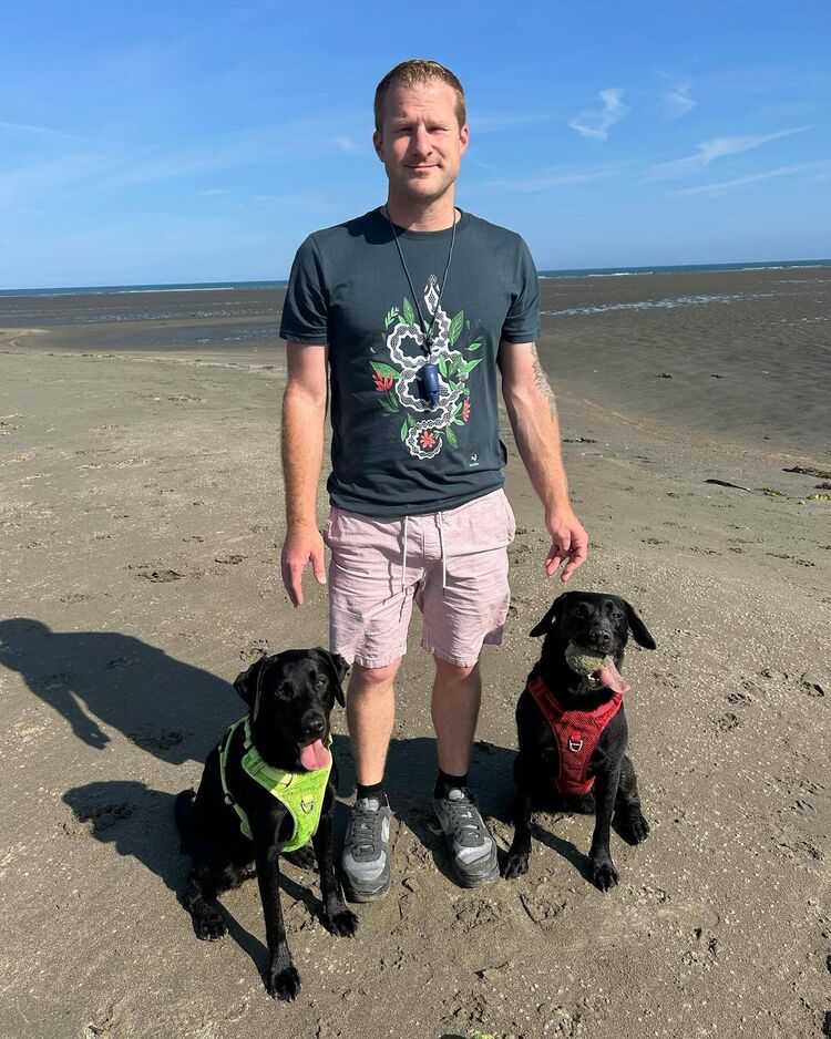  51629504  , 36 ,    -