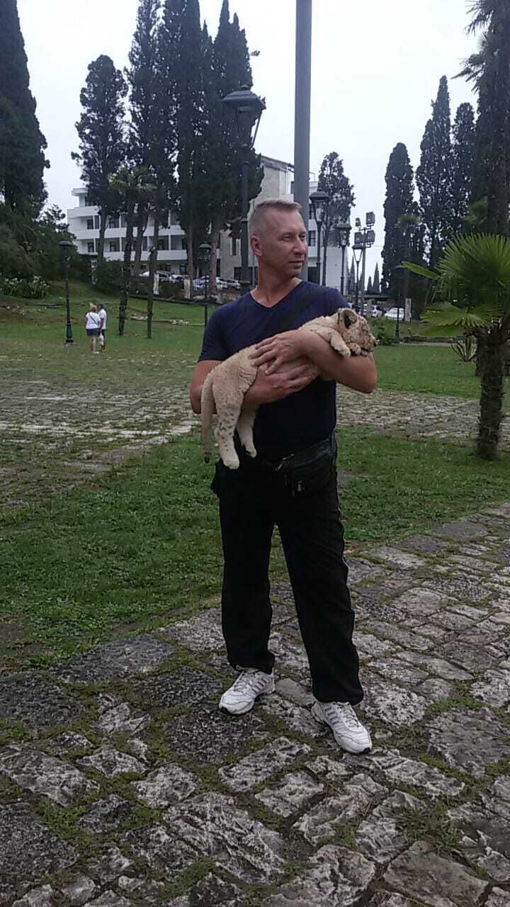  ,   , 53 ,     , c , 
