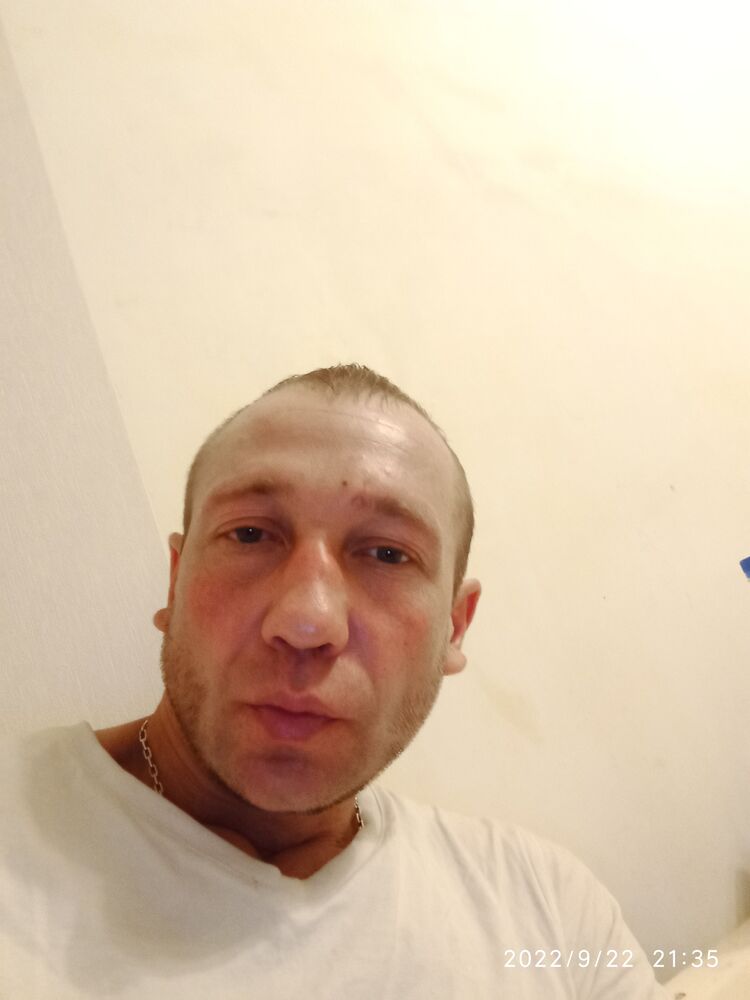  29400094  , 43 ,    