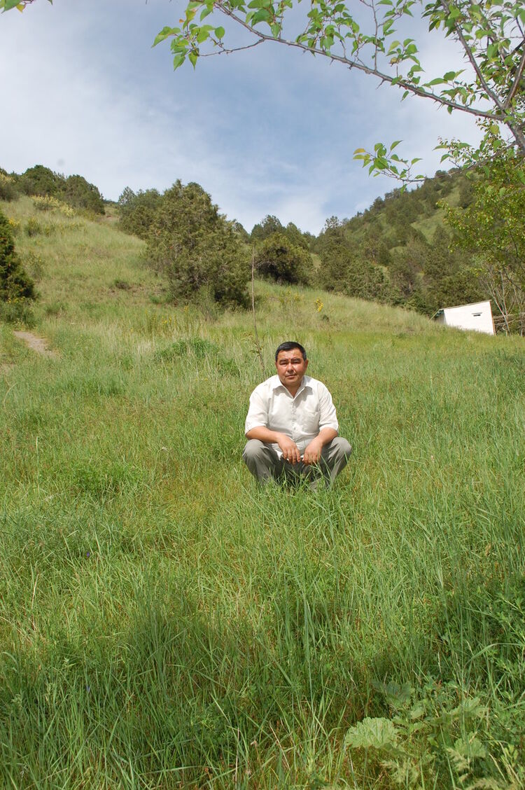 ���� 5379714 ������� ����� ����, 56 ���, ���� ���������� � ��������