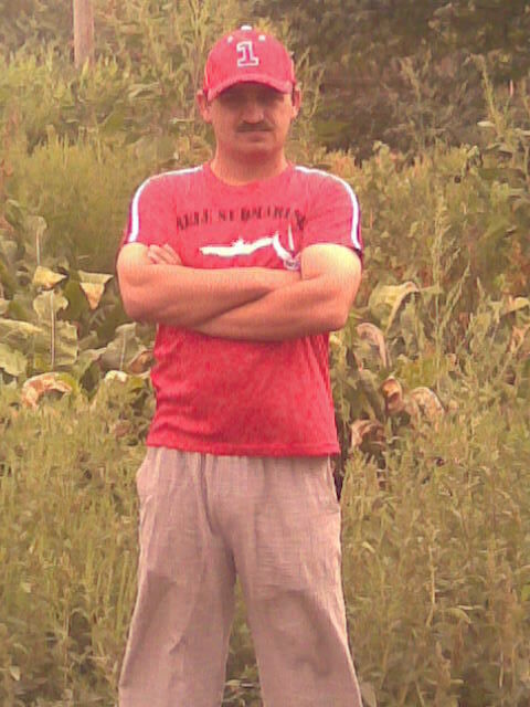  --,   , 47 ,   