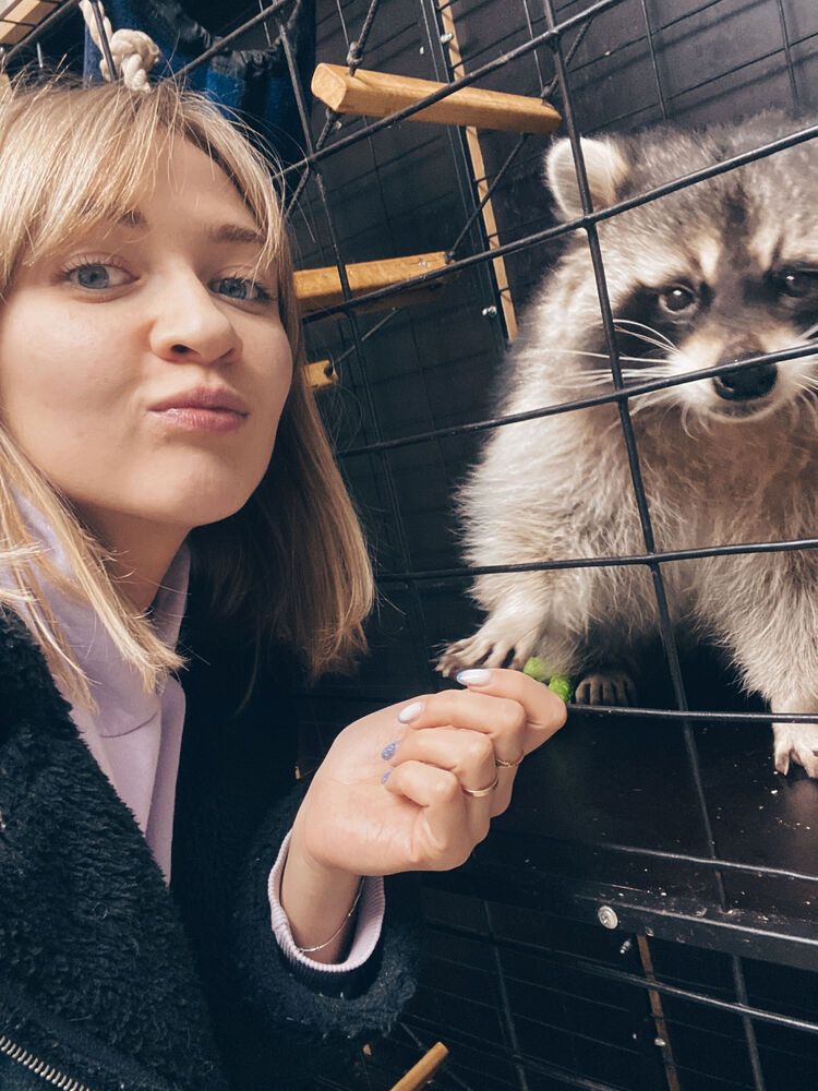 ���������� �����-���������, ���� ������� �����, 32 ����, ������������ ��� c�������� ���������, ���������