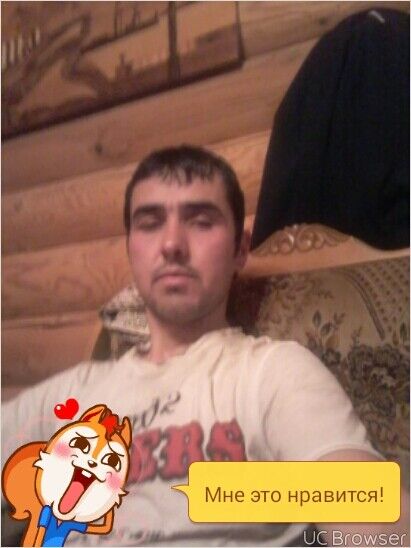  7884384  , 41 ,    