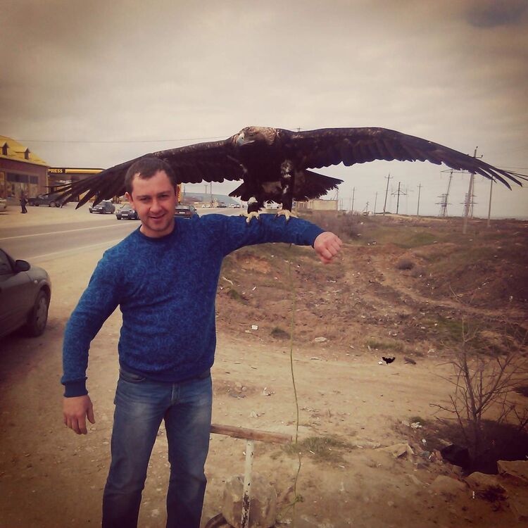 ���������� ���������, ���� ������� ��������, 40 ���, ������������ ��� ����� � ���������, c�������� ���������