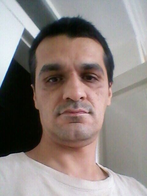  20437794  , 41 ,    