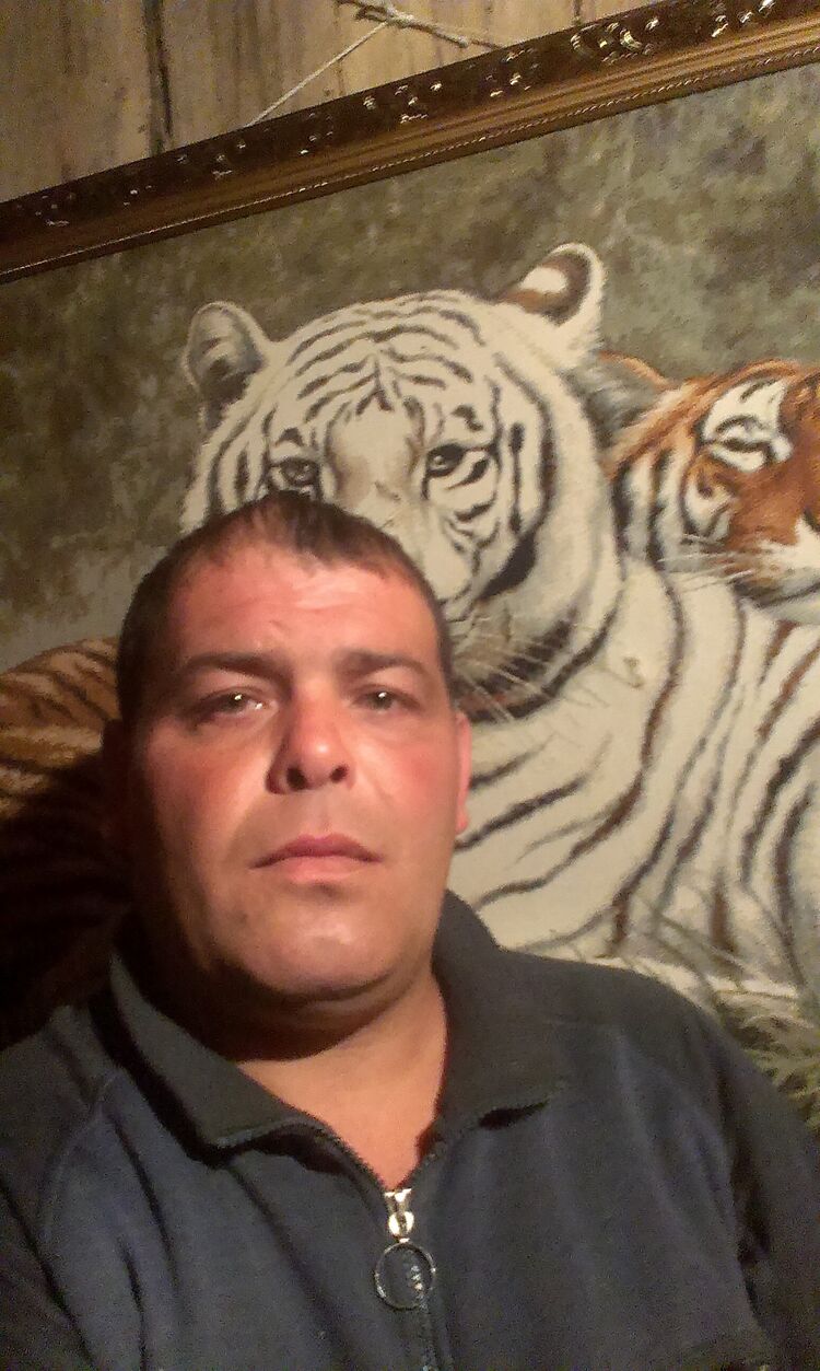 ���� 55655974 ������� �������, 40 ���, ���� ���������� � �������