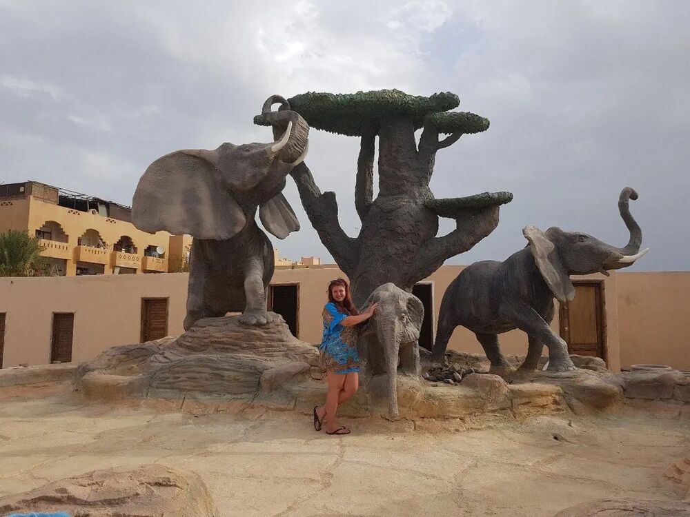 ���������� ������, ���� ������� �������, 40 ���, ������������ ��� c�������� ���������