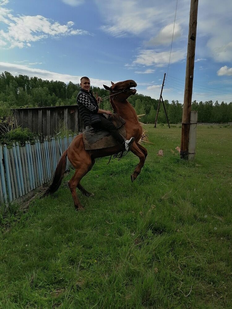 ���������� ����������, ���� ������� �������, 29 ���, ������������ ��� ������, ����� � ���������