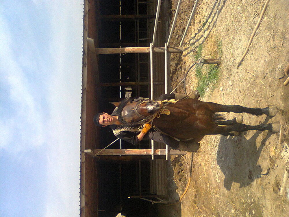 ���� 5369374 ������� ����, 40 ���, ���� ���������� � ������