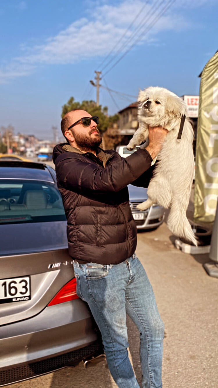  37264984  Mehmet, 31 ,    