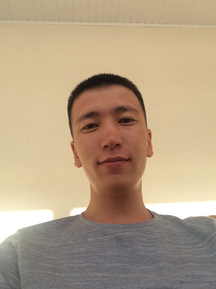  9956294  , 31 ,    