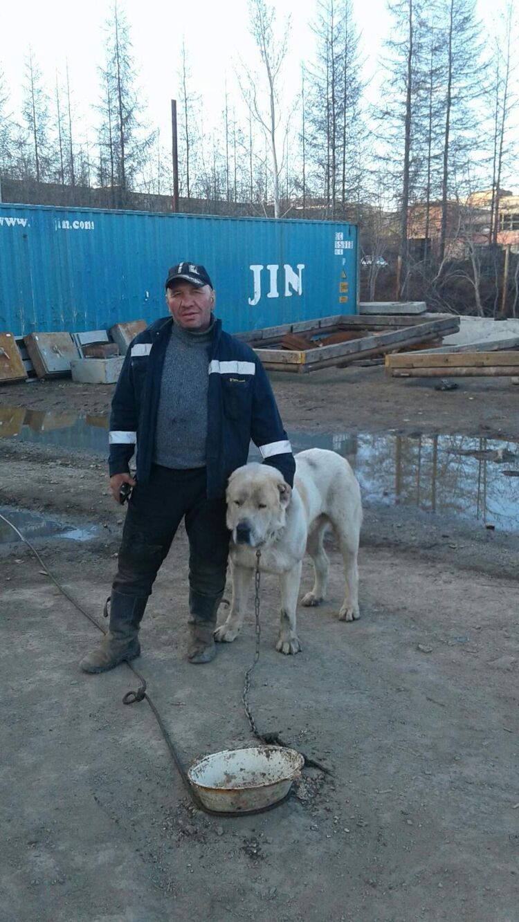 ���������� �������, ���� ������� �����, 61 ���, ������������ ��� ������, ����� � ���������