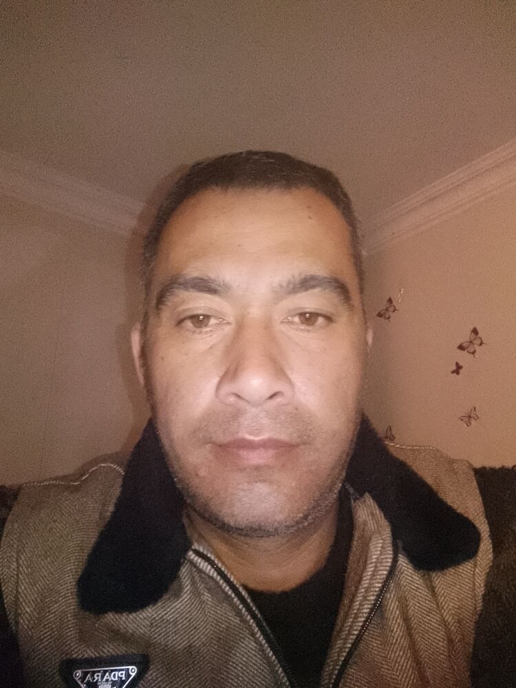 ���� 50400704 ������� ��������, 38 ���, ���� ���������� � Novy