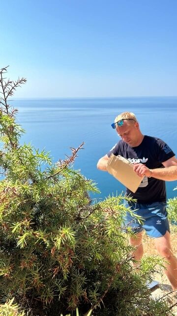 ���������� �������, ���� ������� ���������, 36 ���, ������������ ��� ������, ����� � ���������